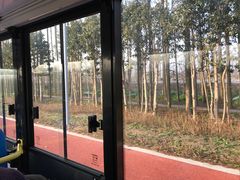 -上海长兴岛郊野公园