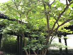 -松云泽