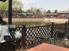 -尚庄度假村·庭台树下·户外烧烤·团建CS·轰趴营地(上庄水库店)