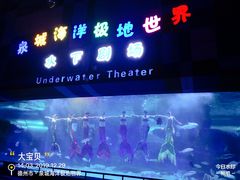 -泉城欧乐堡海洋极地世界