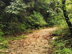 -北京鹫峰国家森林公园