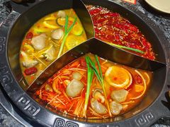 -蜀大侠火锅(森兰花园城店)
