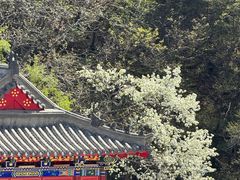 -青岩寺风景区