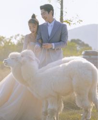 -韩国匠艺臻品摄影