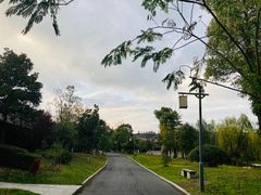 -杏花村文化旅游区