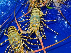 -三亚火车头万人海鲜广场