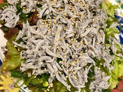 小银鱼色拉-矶丸水产(横浜西口南幸店)