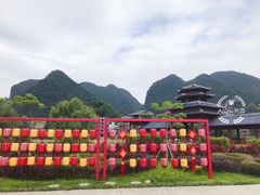 -靖西鹅泉风景区