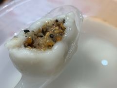 -海丝金凤(金鱼店)