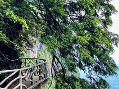 -瓦屋山景区