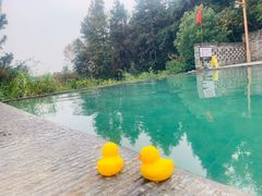 -崇阳三特浪口温泉