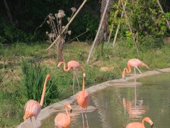 -杭州野生动物世界