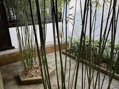 -绮园景区