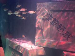 -沈阳海洋探索中心