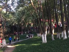 -富乐山