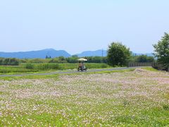 -良渚古城遗址公园