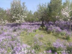 -北京雁栖湖国际会展中心