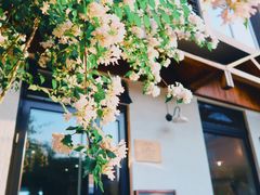 -Cafe Villa