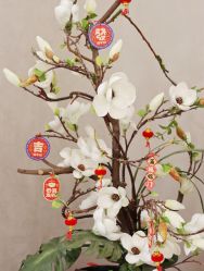 -酉嘉瑜伽YO+YOGA