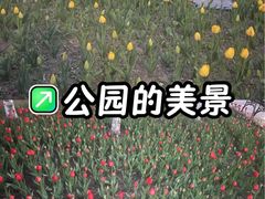 -长春公园(普阳街道)