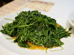 酒香草头-光明邨大酒家(淮海路店)
