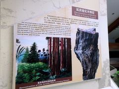 -延庆地质公园博物馆