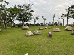 -白石龙音乐公园