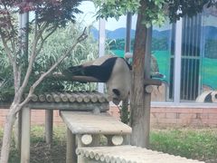 -苏州太湖国家湿地公园
