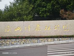 -铁山坪森林公园