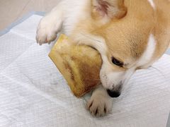 -西贝莜面村(近铁城市广场店)