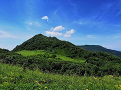 -白草畔自然风景区