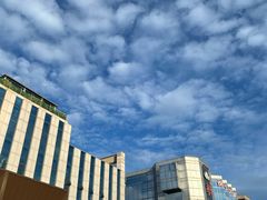 -威海九禧海鲜居渔水饺(经区店)