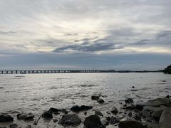 -宝安西湾红树林湿地公园