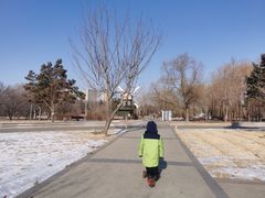 -长春公园(普阳街道)