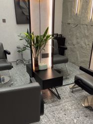 -A&L salon