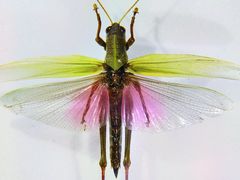 -香港科学馆
