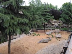 -石家庄市动物园