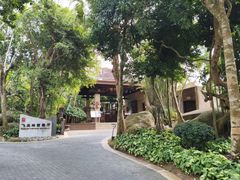 -三亚亚龙湾人间天堂鸟巢度假村