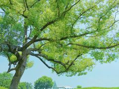 -良渚古城遗址公园