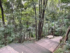 -凤栖山