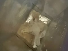 -鲜芋仙(太原街万达店)