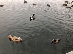 -后海公园