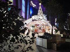 -金茂览秀城