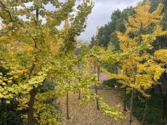 -中国浦东干部学院