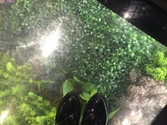 -炭舍干锅·烤鱼(扬名广场店)