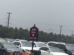 -迪士尼乐园停车场
