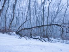 -中旅松花湖滑雪场