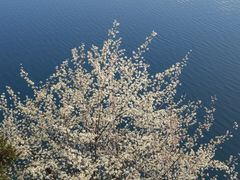 -丽江泸沽湖景区-里格半岛