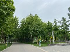 -河北省园博园