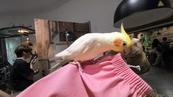 -Zoolung Zoolung动物主题公园(海信广场店)